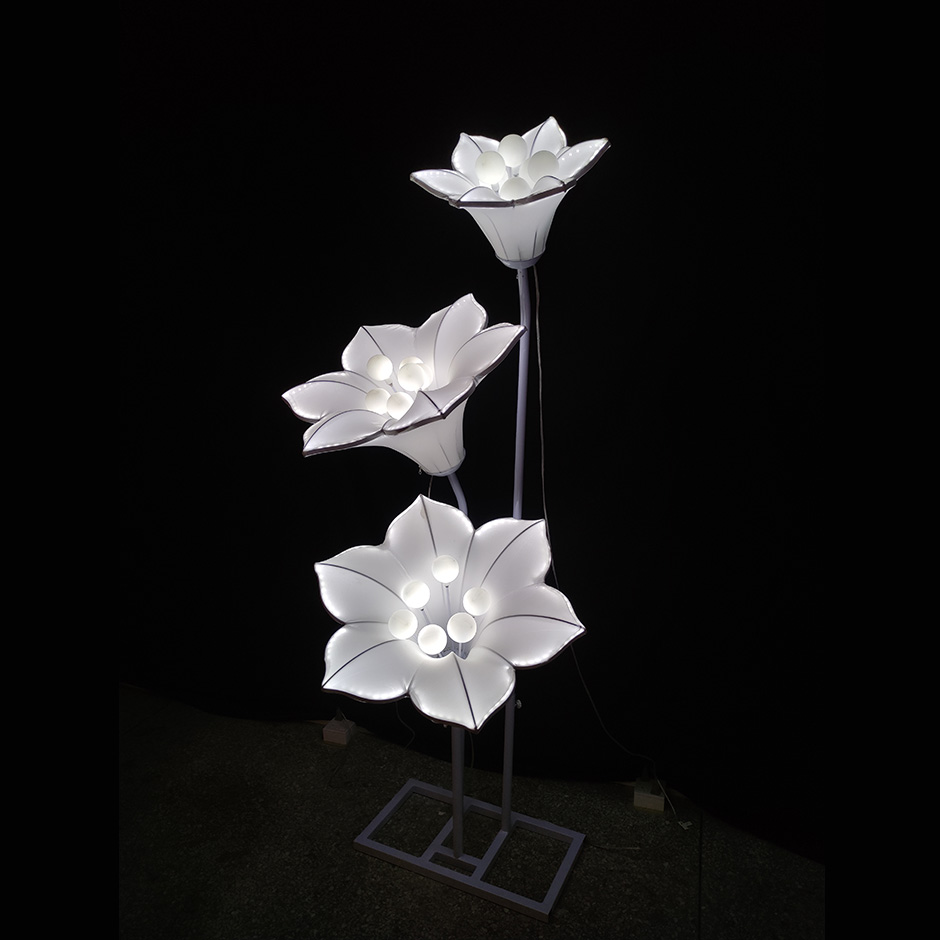 Three Headed Morning Glory Lantern