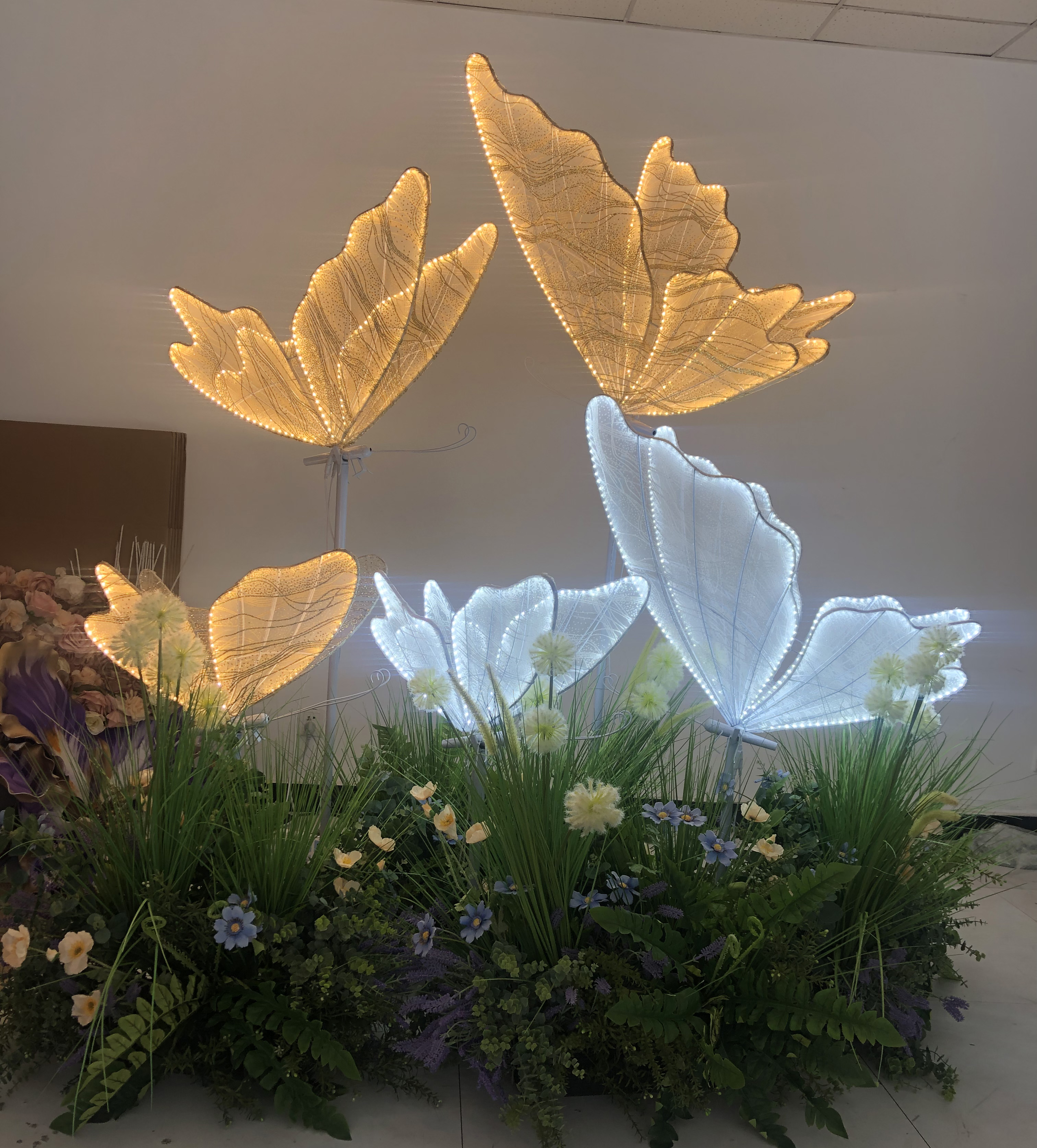 Static Luminous Butterfly