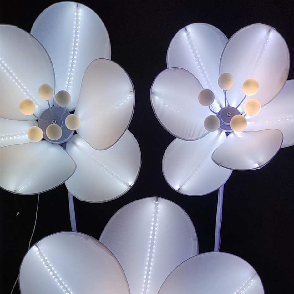 Camellia Set Three Decorative Lights